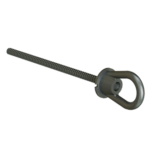 Eye Bolt