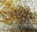 Oakley Gold Natural Stone