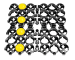 TrueGrid Pro Plus